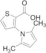 3-(2,5-Dimethyl-1H-pyrrol-1-yl)-2-thiophenecarboxylic Acid