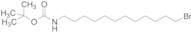 12-(t-Boc-amino)-1-dodecyl Bromide