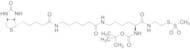 N2-t-Boc-N6-(biotinamido-6-N-caproylamido)lysinylamidoethane Methanethiosulfonate