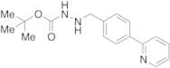 1-Boc-2-[4-(2-pyridinyl)benzylidene]hydrazine