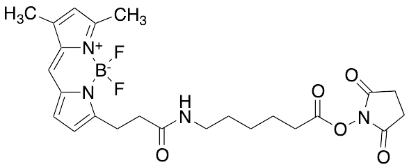 3-Bodipy-propanoylaminocaproic Acid, N-Hydroxysuccinimide Ester