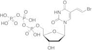 Brivudine 5'-Triphosphate Ammonium