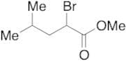 2-Bromo-4-methylpentanoic Acid Methyl Ester