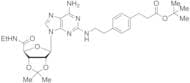 2-[[4-[2-(tert-Butoxycarbonyl)ethyl]phenylethyl]amino]2’,3’-O-isopropylideneadenosine-5’-N-ethylca…