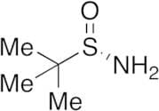 (S)-tert-Butylsulfinamide