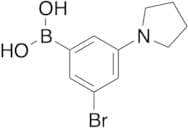 3-Bromo-5-pyrrolidinophenylboronic Acid