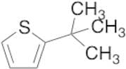 2-(tert-Butyl)thiophene