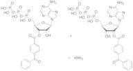 BzATP Ammonium Salt (Mixture of 2'-3' isomers)