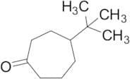 4-tert-Butylcycloheptan-1-one