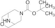 tert-Butyl 3-Oxa-7,9-diazabicyclo[3.3.1]nonane-7-carboxylate (>97%)
