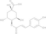 4-O-Caffeoylquinic Acid
