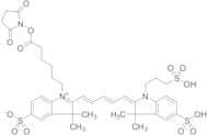 Cy5-NHS ester