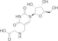 5-Carboxymethylaminomethyluridine