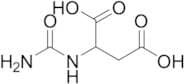 N-Carbamoyl-DL-aspartic Acid