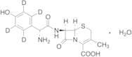 Cefadroxil-d4 (Major)
