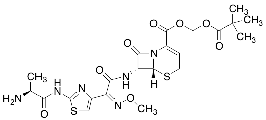 Ceftizoxime Alapivoxil
