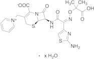 Ceftazidime Hydrate (~5% Sodium Carbonate as stabilizer)