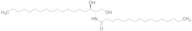 C16 Dihydroceramide