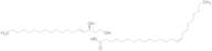 C24:1 Ceramide