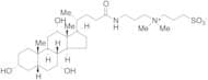 3-[(3-Cholamidopropyl)dimethylammonio]-1-propanesulfonate