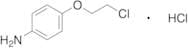 β-Chloro-p-phenetidine Hydrochloride