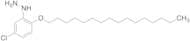 [5-Chloro-2-(hexadecyloxy)phenyl]-hydrazine