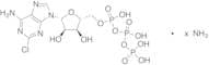 2-Chloroadenosine triphosphate Ammonium Salt (~90%)