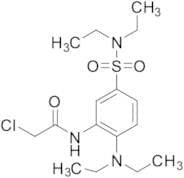 2-Chloro-N-[2-(diethylamino)-5-(diethylsulfamoyl)phenyl]acetamide
