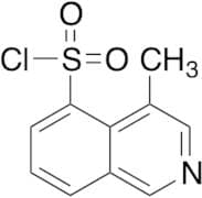 5-Chlorosulfonyl-4-methylisoquinoline