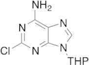 2-Chloro-9-(tetrahydropyran-2-yl)adenine