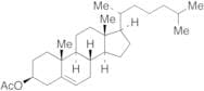 Cholesterol 3-Acetate