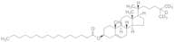 16:0 Cholesteryl-d7 Ester