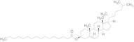 Cholesteryl Palmitate
