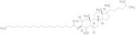 Cholesteryl-2,2,3,4,4,6-d6 Octadecanoate
