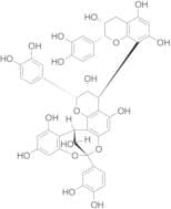 Cinnamtannin B-1