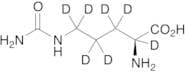 L-Citrulline-d7