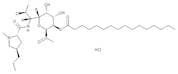 Clindamycin Palmitate Sulfoxide Hydrochloride (>90%)