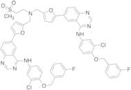N-{5-[4-[[3-Chloro-4-[(3-fluorophenyl)methoxy]phenyl]amino]-6-quinazolinyl]-furan-2-ylmethyl} Lapa…