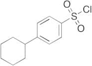 4-Cyclohexyl-benzenesulfonyl Chloride