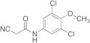 2-Cyano-N-(3,5-dichloro-4-methoxyphenyl)-acetamide