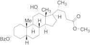 12α-Deoxycholic Acid Methyl Ester 3α-Benzoate