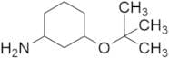 3-(1,1-Dimethylethoxy)cyclohexanamine