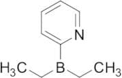 2-(Diethylboryl)pyridine