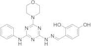 2,4-Dihydroxybenzaldehyde 2-[4-(4-morpholinyl)-6-(phenylamino)-1,3,5-triazin-2-yl]hydrazone