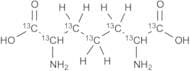 2,6-Diaminoheptanedioic Acid-13C7