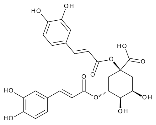 1,3-Dicaffeoylquinic Acid