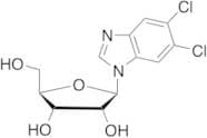 5,6-Dichloropurine-1-β-D-ribofuanosyl-H-benzimidazole