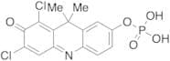1,3-Dichloro-9,9-dimethyl-7-(phosphonooxy)-2(9H)-acridinone