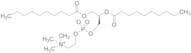 1,2-Didecanoyl PC