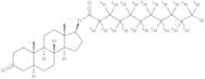5α-Androstan-17β-ol-3-one Undecanoate-d21